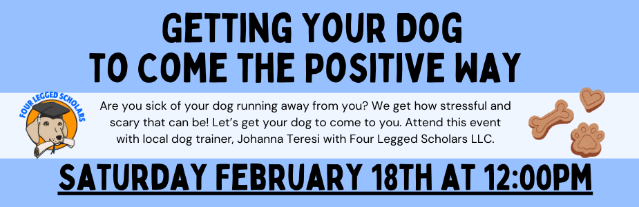Dog Training Feb 18th